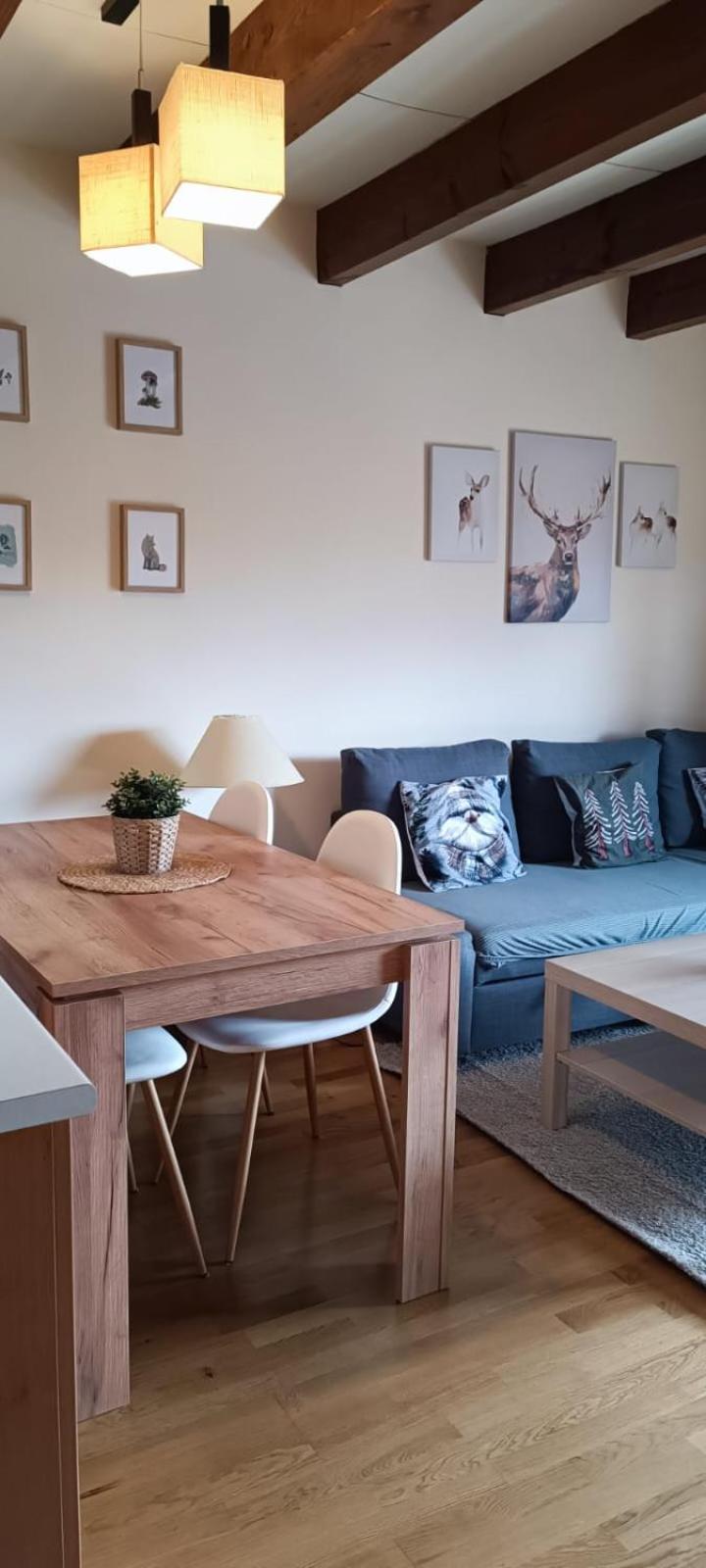 Duplex Familiar Izarraitz Apartman Villanúa Kültér fotó